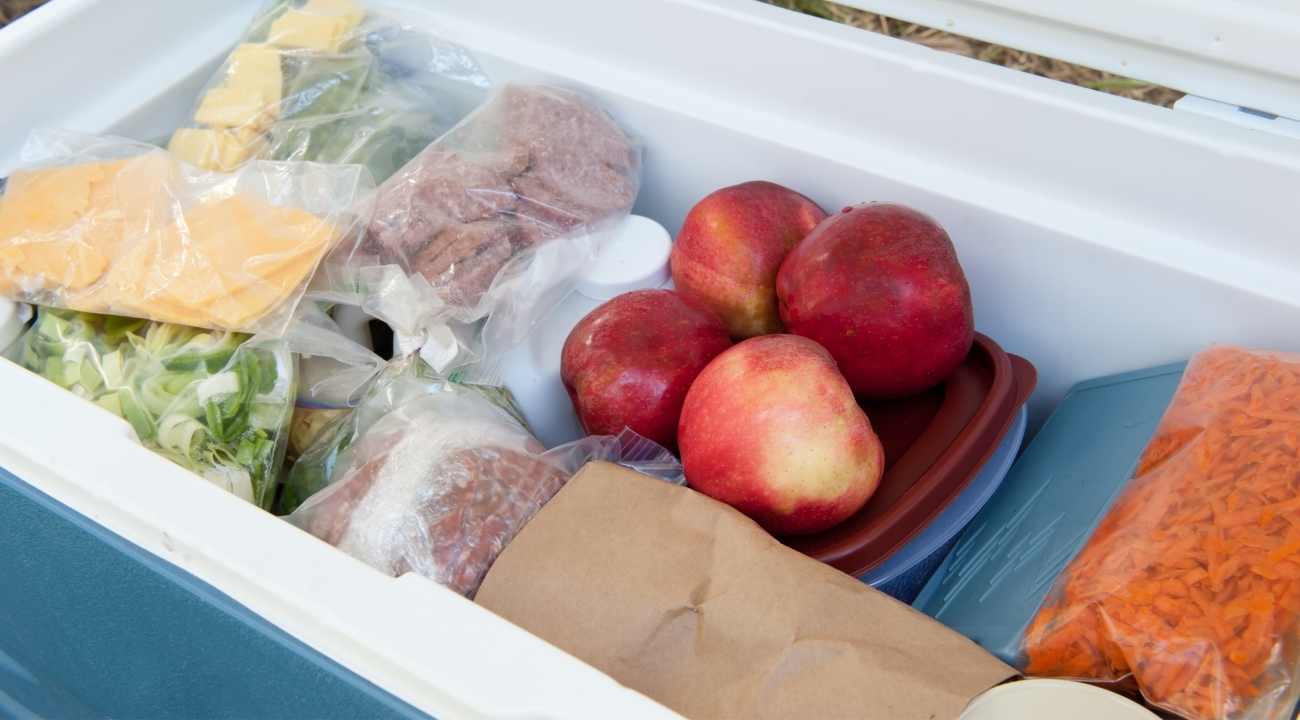 How To Pack Your Cooler For Camping The Right Way?