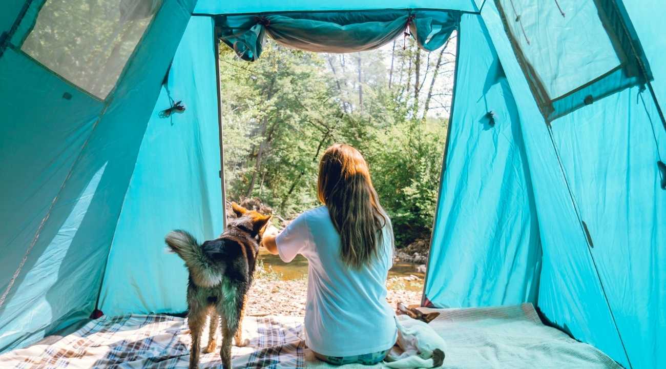 How To Go Tent Camping with Your Dog? - Outdoor Zone