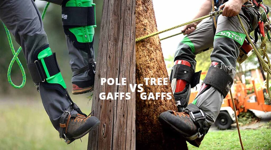 Tree Gaffs Vs Pole Gaffs