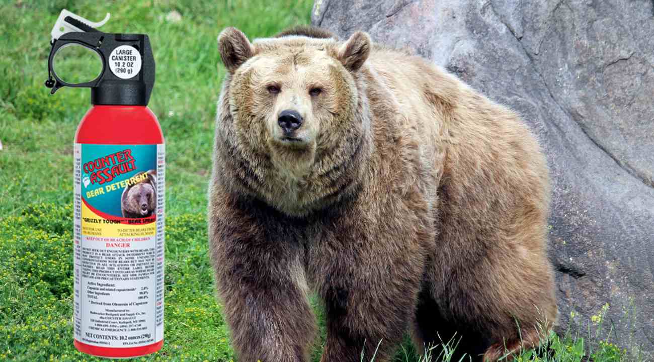 Tips To Properly Carrying And Using Bear Spray Outdoor Zone