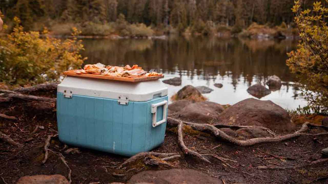 How to Keep Food Cold and Frozen while Camping 