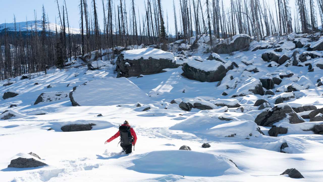 What To Do If You Fall Through Deep Snow Hiking