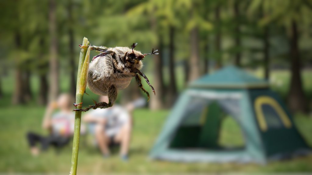 How to Keep Bugs Out of Your Tent 7 Proven Strategies Outdoor Zone